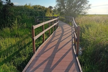 Staithe to Brancaster Marsh Side board walk