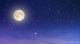 Cosmos and Moon - Stargazing at Dragonflybrogo