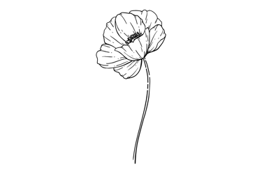 Elément décoratif - coquelicot monoligne noir Joanie Frigau