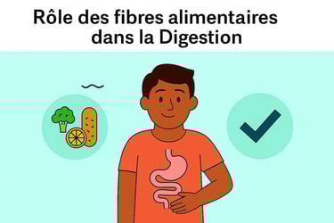 Homme souriant avec un estomac dessiné sur son t-shirt, illustrant le rôle des fibres alimentaires dans la digestion, recherc
