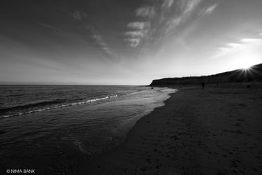 a black and white photo of a beach
