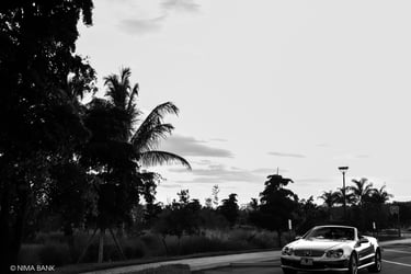 shadowy black and white trees and a glossy mercedes sl55 amg