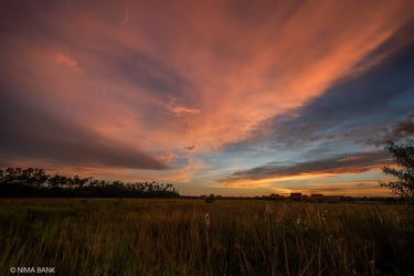 a dramatic cotton candy colored horizon at sunset in estero florida