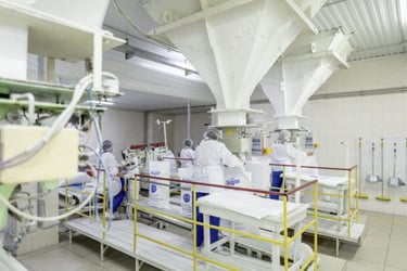 Sucre ukrainien : les planteurs européens se sentent trahis par la Commission