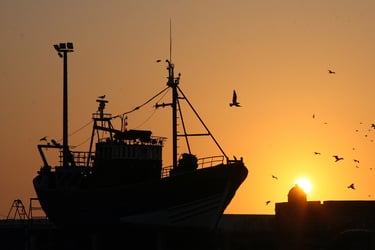Les feux tricolores veulent maintenant imposer un fardeau de centaines de millions aux pêcheurs