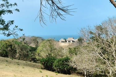 Vue Panoramique de Rio Cedro, monitos, Cordoba