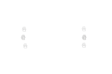 logo for rebecca reed photography