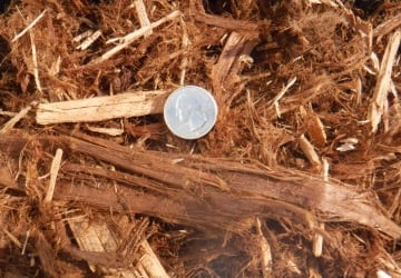 Gorrilla Hair Mulch