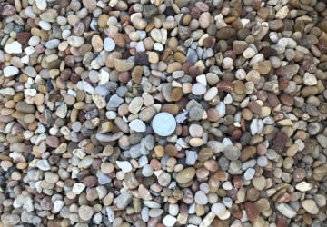 Jelly Bean 1/2"