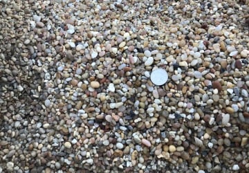 Jelly Bean 3/8"
