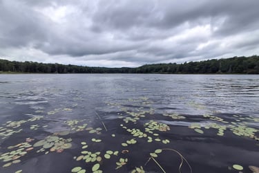 Dark clouds over a pond
