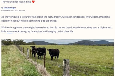 They Found Her Just In Time