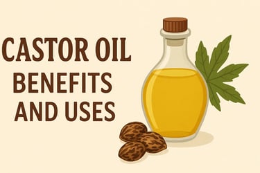 Illustration showing castor oil bottle and castor seeds, representing its benefits for skin, hair.