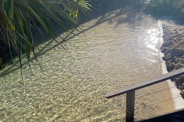 Crystal clear freshwater stream flowing into Eli Creek on Fraser Island under palm trees.