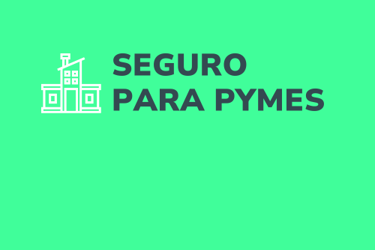seguro-para-pymes