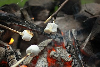 chamalloww au coin du feu au gite Bricabroc au Lude