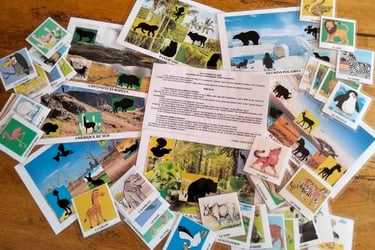 le guide complet pour enchanter vos enfants de moins de 12 ans : les animaux du zoo