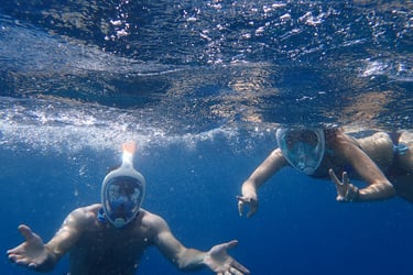 People Snorkeling Underwater