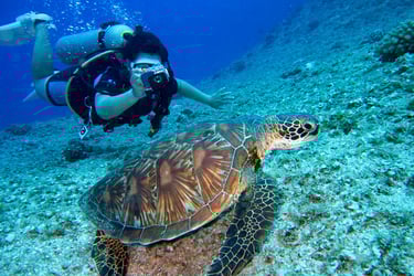 scuba diving