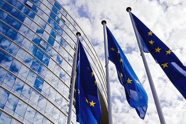 European Union Flags