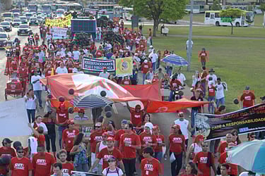 a large group of people walking down a street