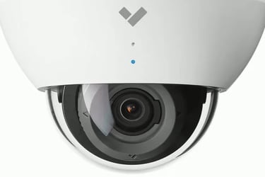 Las Vegas Surveillance Camera