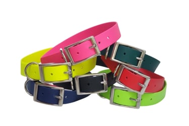 biothane dog collars 