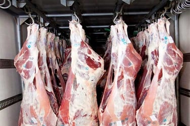 Frozen Meat