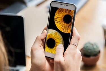 a person holding a cell phone in their hand