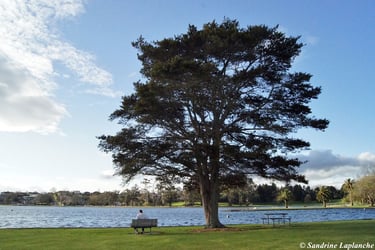 sophrologie villefranche