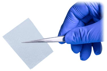 Tweezers holding Restorigin amniotic membrane