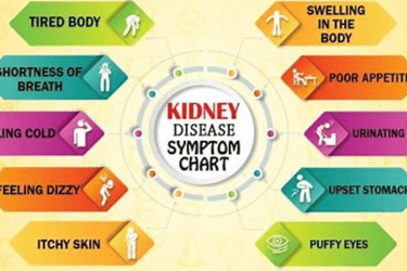 symptoms of kidny disease