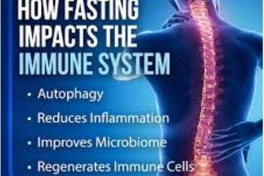 fasting and immune system
