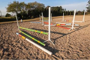 Some poles set out in an equine training area.