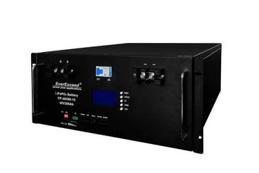 EverExceed LiPo Rack battery