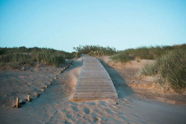 Palanga beach, kopos, Palangos papludimys, smėlis
