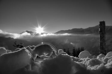 Winteraufnahme in schwarz-weiß