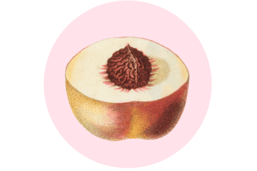 durazno cortado a la mitad