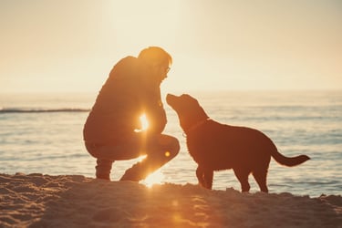 ritratto di ragazzo e cane nero sul mare al tramonto