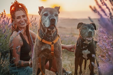 ragazza sorridente con i rasta e i suoi due cani tra la lavanda