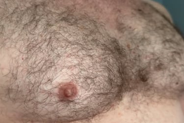 Close-up of a massively muscled chest covered with hair.