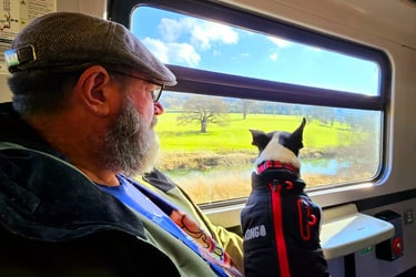 Yoki on the train on Danny's lap looking out the window at the UK country side.
