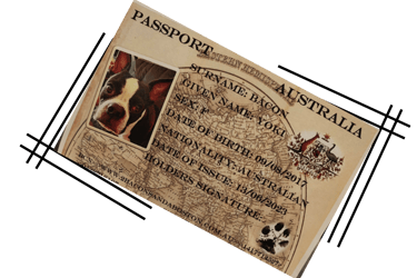 Yoki's pet passport mockup.