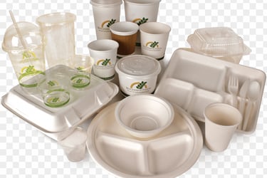 DISPOSIBLE ITEMS NEAR ME