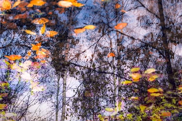 a bench with a bench and some leaves