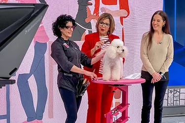 Peluquería Canina Truka en el programa Las Mañanas de TeleMadrid