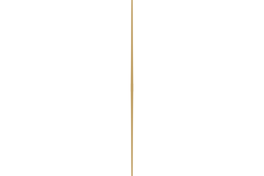 A minimalist vertical gold light beam centered against a solid black background.