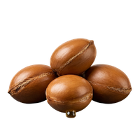 A pile of brown argan nuts with a drop of argan oil on a black background.