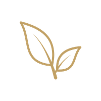 Elegant gold line art of two organic tea leaves on a black background.