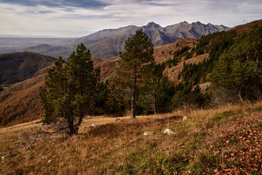 Bielmonte panorama